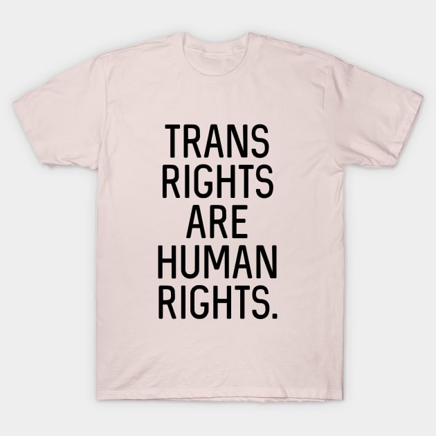 V3: Trans rights are human rights. T-Shirt by Bri the Bearded Spoonie Babe